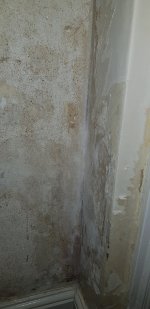 Help identifying plaster type and preparation