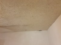 Advice on repairing old ceiling