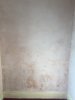 Advice on newly plastered wall