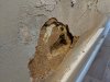 Advice - damp on an internal wall