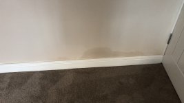 Damp patch on internal wall