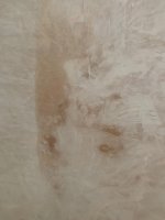 Damp patch on newly plastered wall