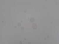 Damp random circles appearing on wall (Photos)