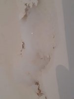 Damp random circles appearing on wall (Photos)