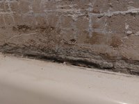 What to do about my shower walls?