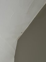 Damp on ceiling in loft bedroom conversion