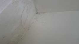 Help please. Damp on chimney breast wall upstairs.