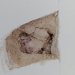 Methods to assess condition of plaster?