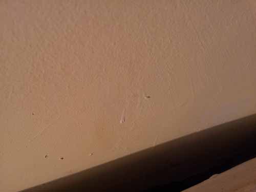 How bad is this plastering?