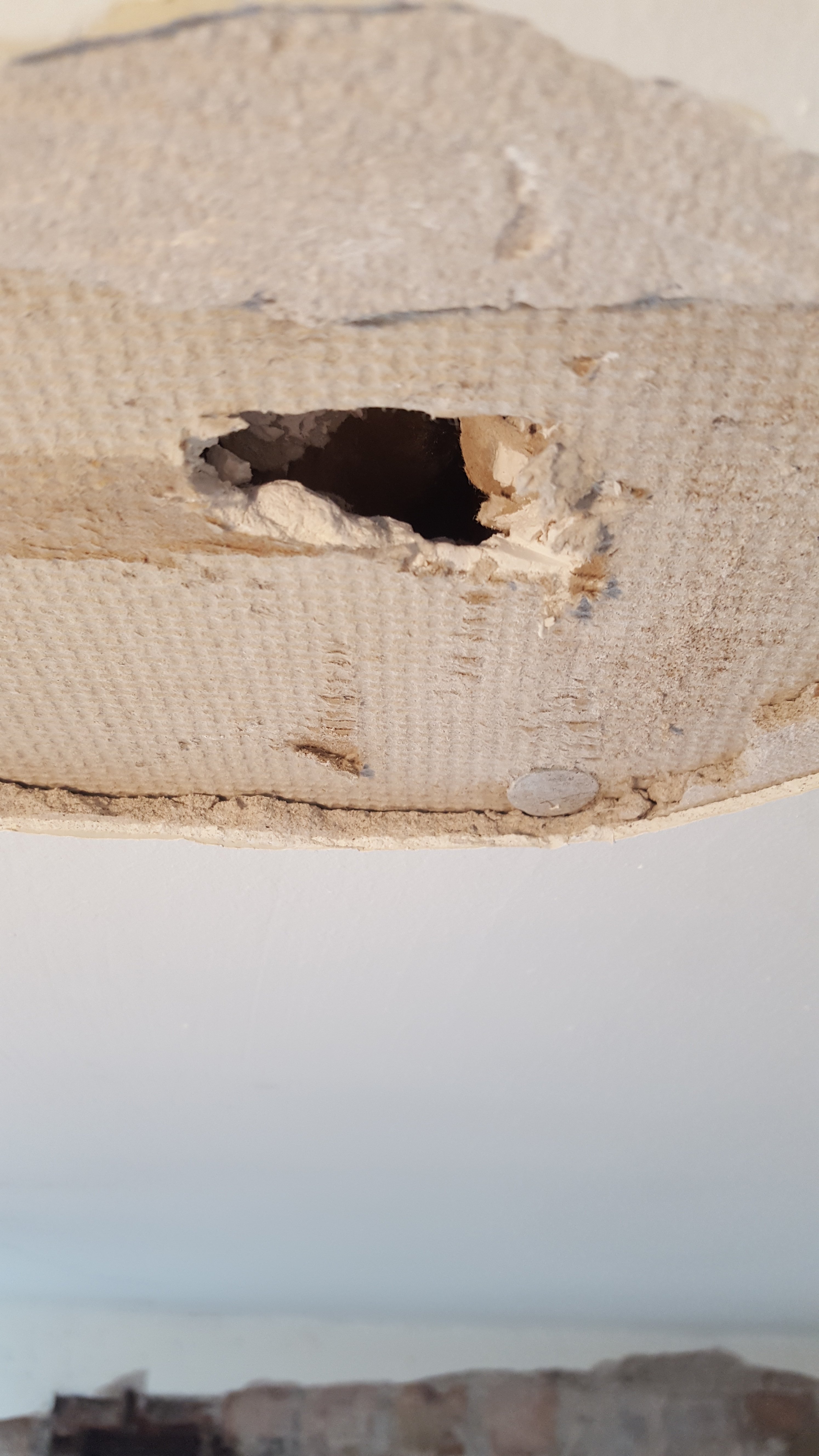 Aint seen this plasterboard before.