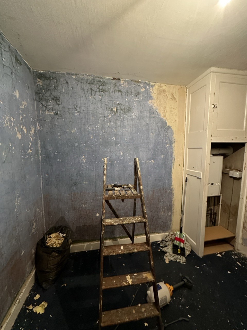 Peeled off 5 layers of wallpaper to weirdo blue walls and a wall of plywood?