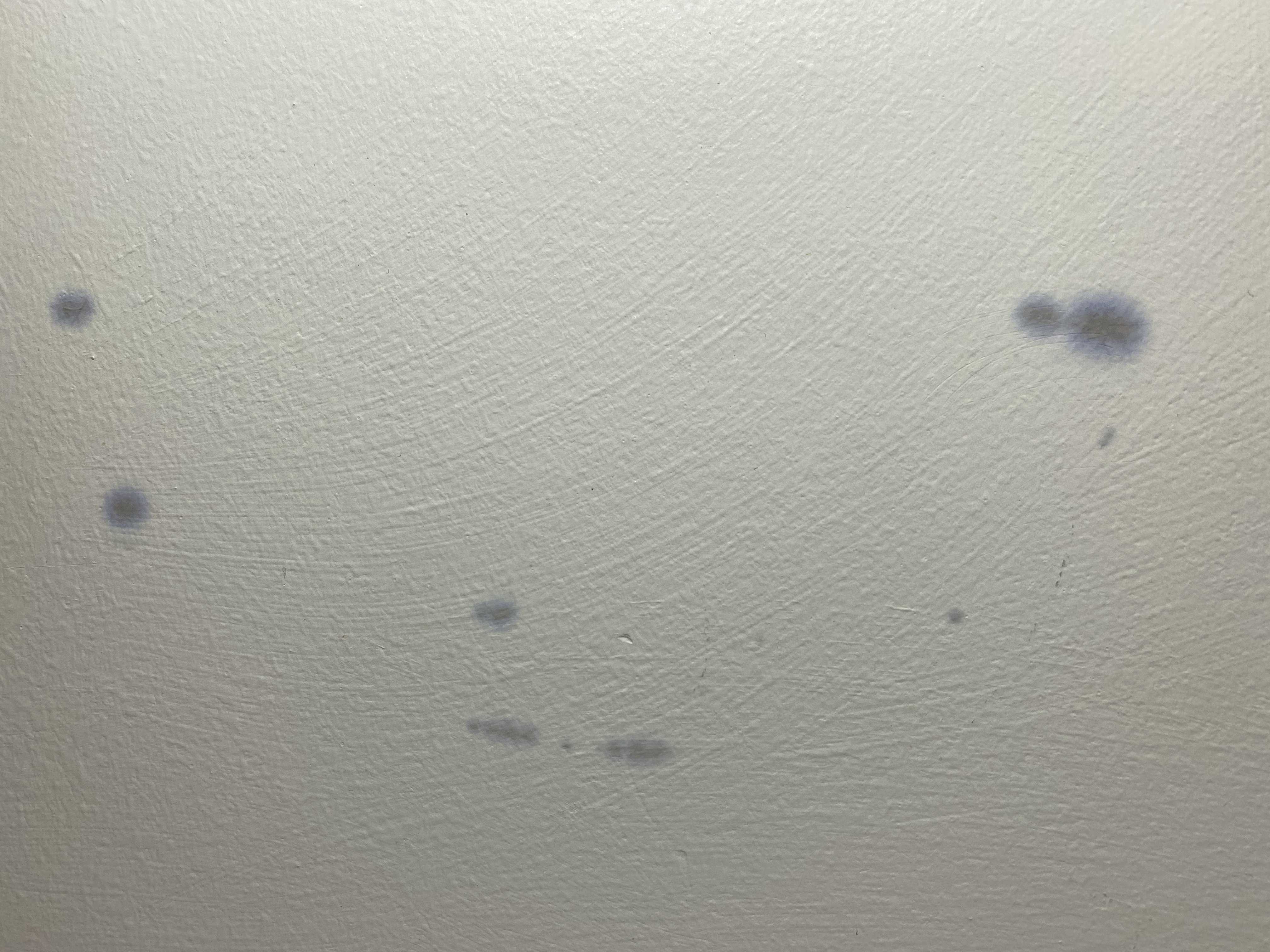 Help! Blue spots coming through white paint?!