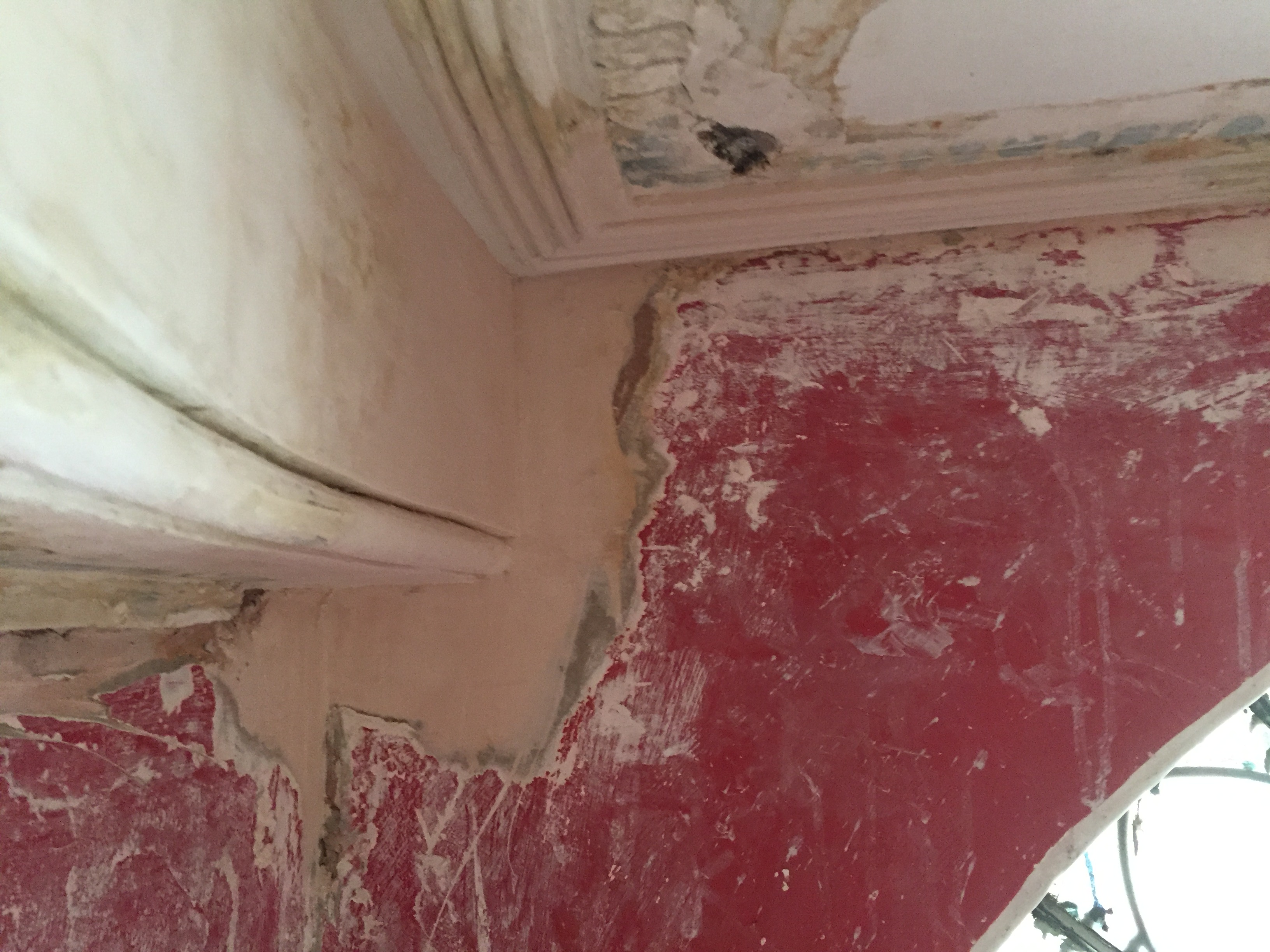 fibrous plasterers lets see your work today