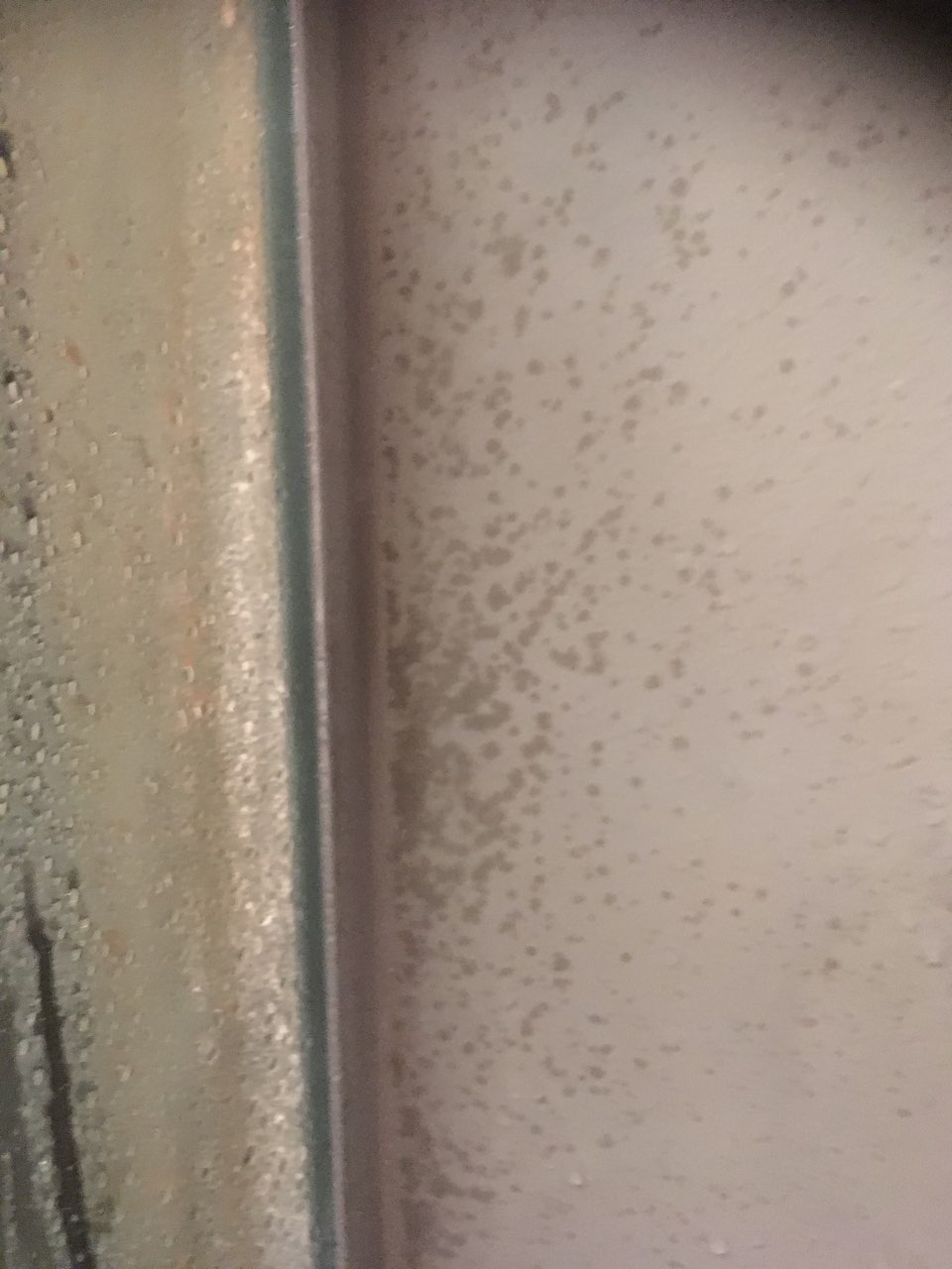 Damp issue on microcement shower