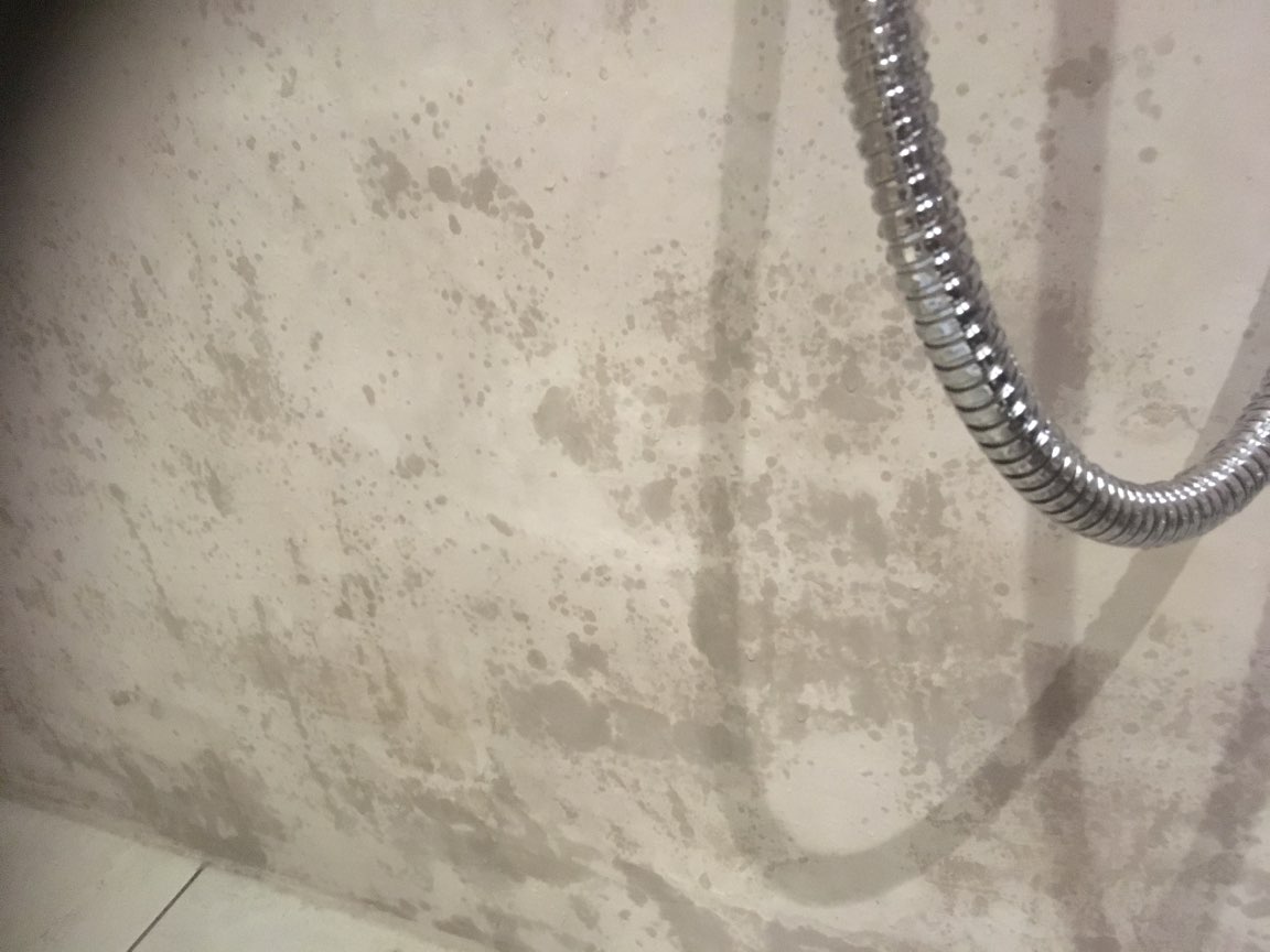 Damp issue on microcement shower