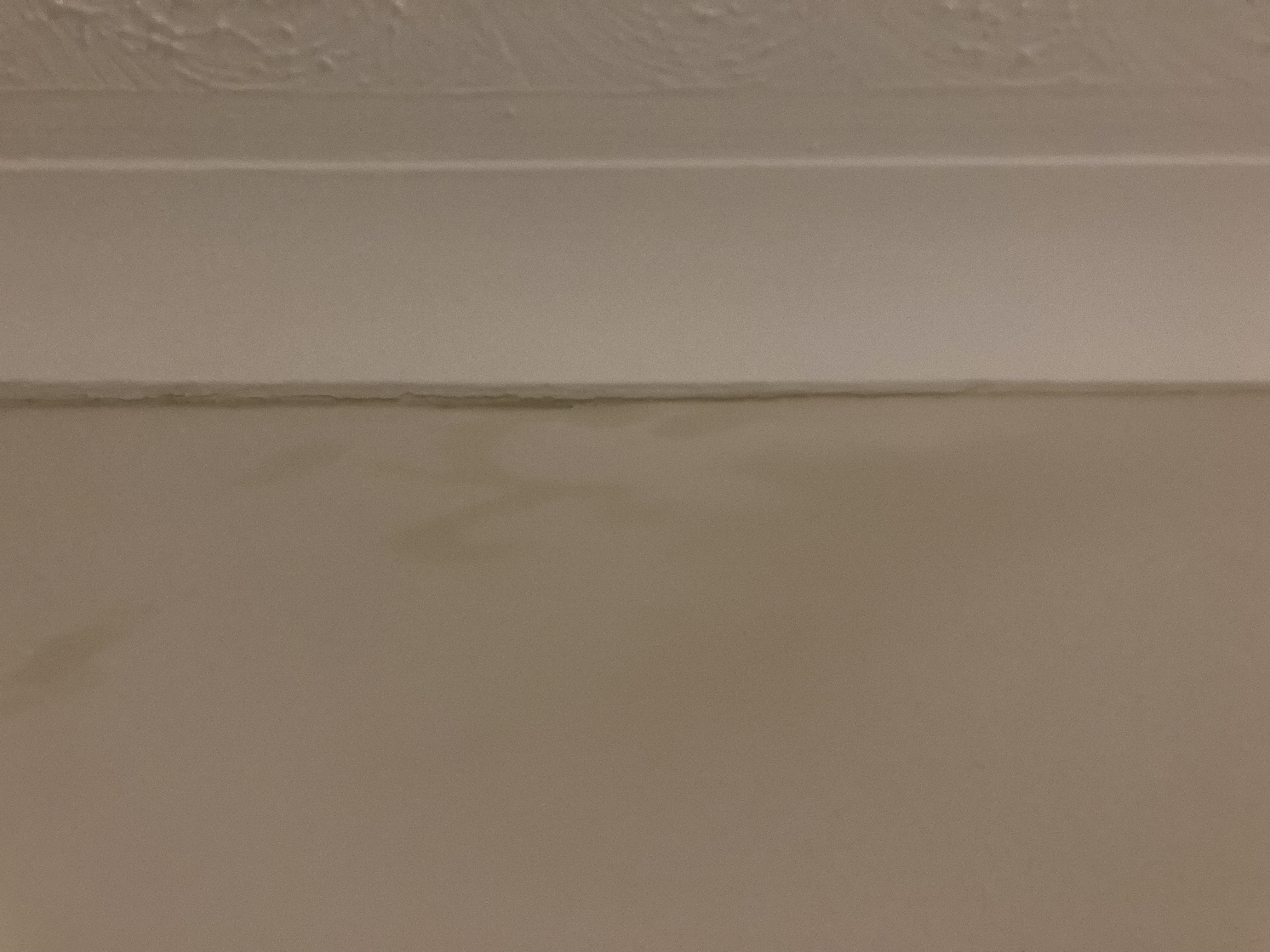 Who can help with my damp problem
