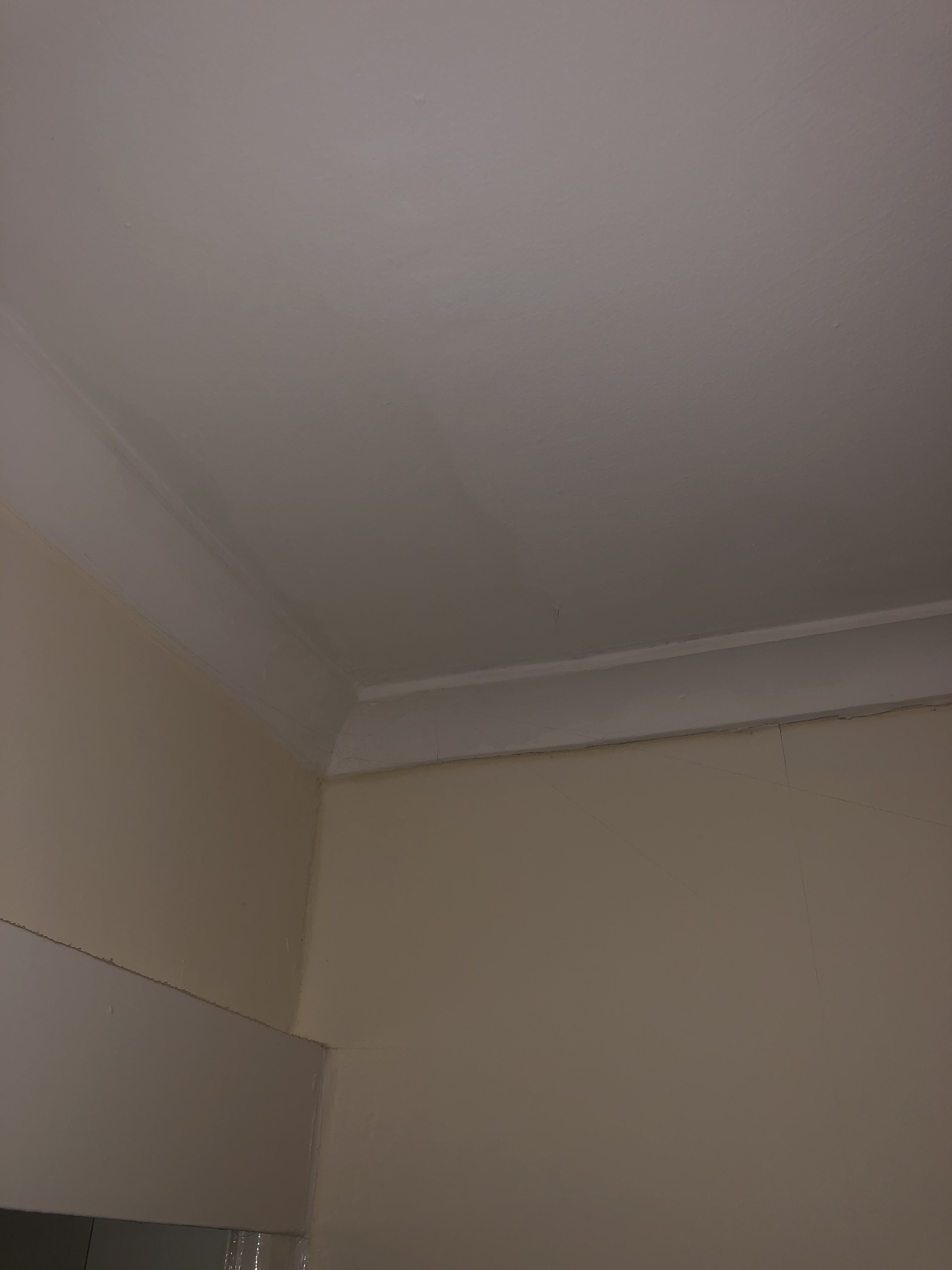 Diagnosis Needed Damp On Upstairs Bedroom Ceiling The Original