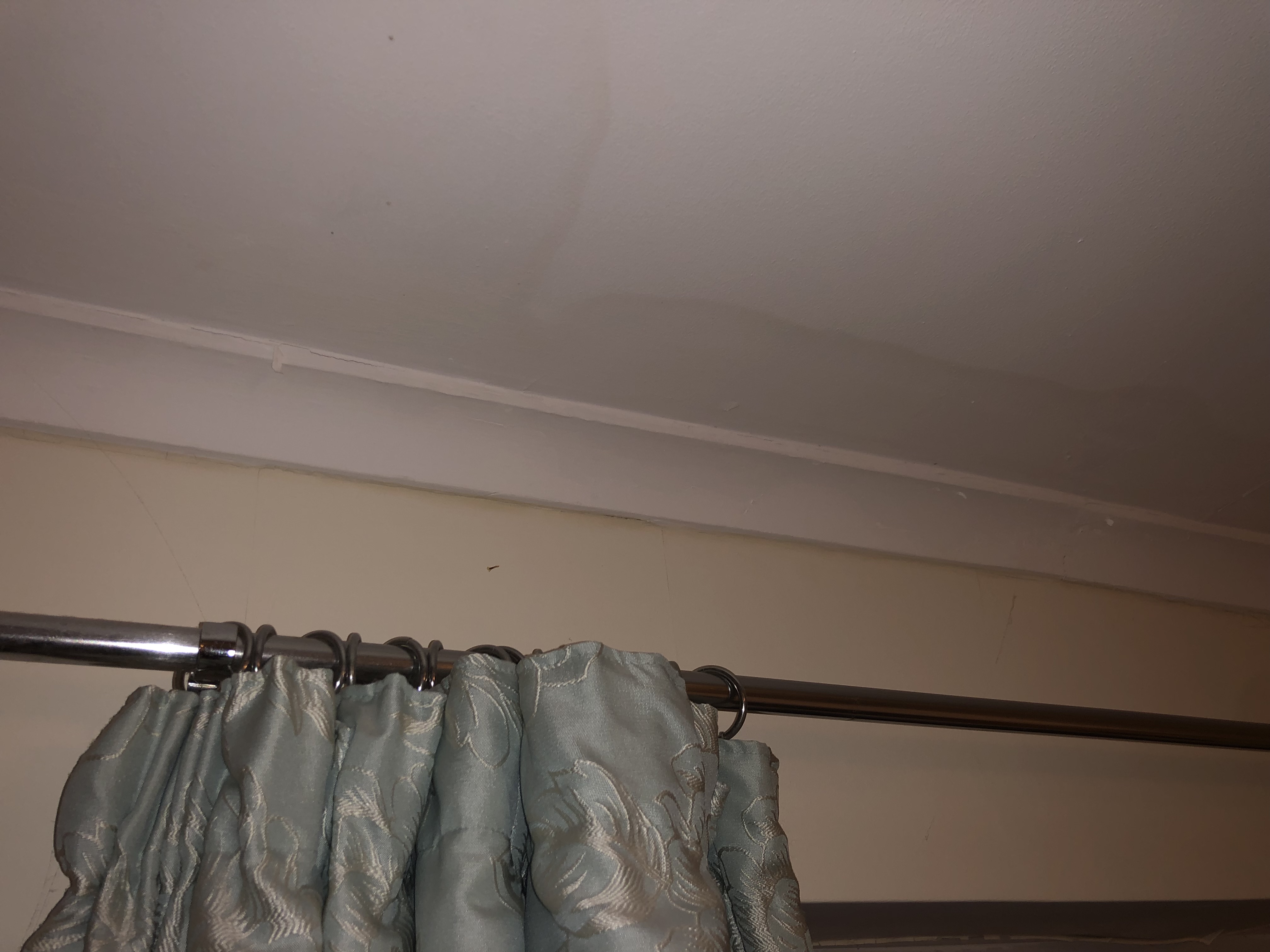 Diagnosis Needed Damp On Upstairs Bedroom Ceiling The