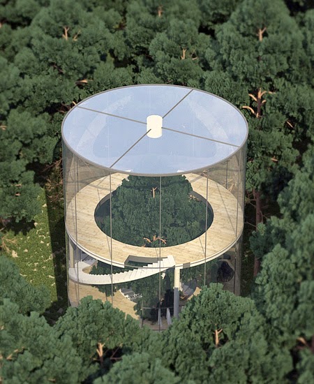 Wonderful Glass Tree House 4.jpg