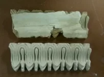 stripping cornicing/ceiling rose