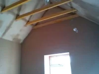 a few pics