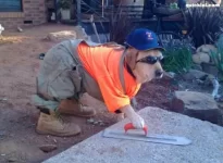Getting the dog screeding!