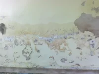 pics of damp