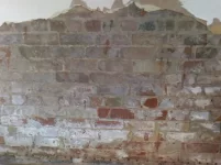 pics of damp