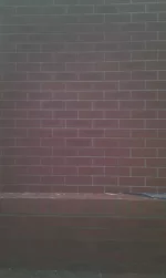 Some Brick effect Jobs using wallcrete