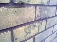 Thin coat system Thin coat system