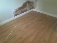 HELP!!! Is it the plaster or a leak???