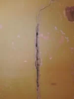 Repairing cracks the best option? Repairing cracks the best option?