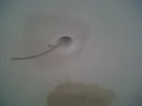 Plaster in downlights.