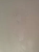New skim patch fell off the wall! Patch up ok? New skim patch fell off the wall! Patch up ok?
