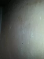 New here