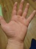 Plastering hand