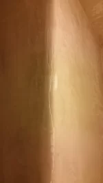 Lime plaster shrinkage
