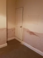 Anybody want a 5 grand damp Job! Anybody want a 5 grand damp Job!