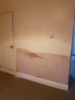 Anybody want a 5 grand damp Job! Anybody want a 5 grand damp Job!