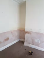 Anybody want a 5 grand damp Job! Anybody want a 5 grand damp Job!