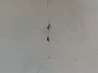 Gypsum Plaster (?) in ... Slovenia