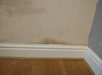 Not drying at base of wall