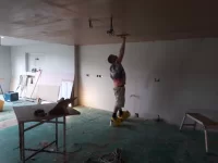 Wtb  tall hop up