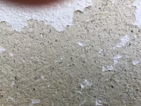 Paint flaking off render - help needed