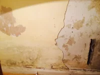 Chippy in need of plastering/mould advice!