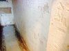 "Decorative" sand cement render in bathroom/ wetroom. Help please!!