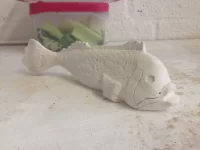 Fishy