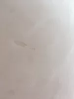 Skimming over skim. Rough