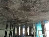 Little polished ceiling job