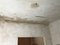 Help Needed Please